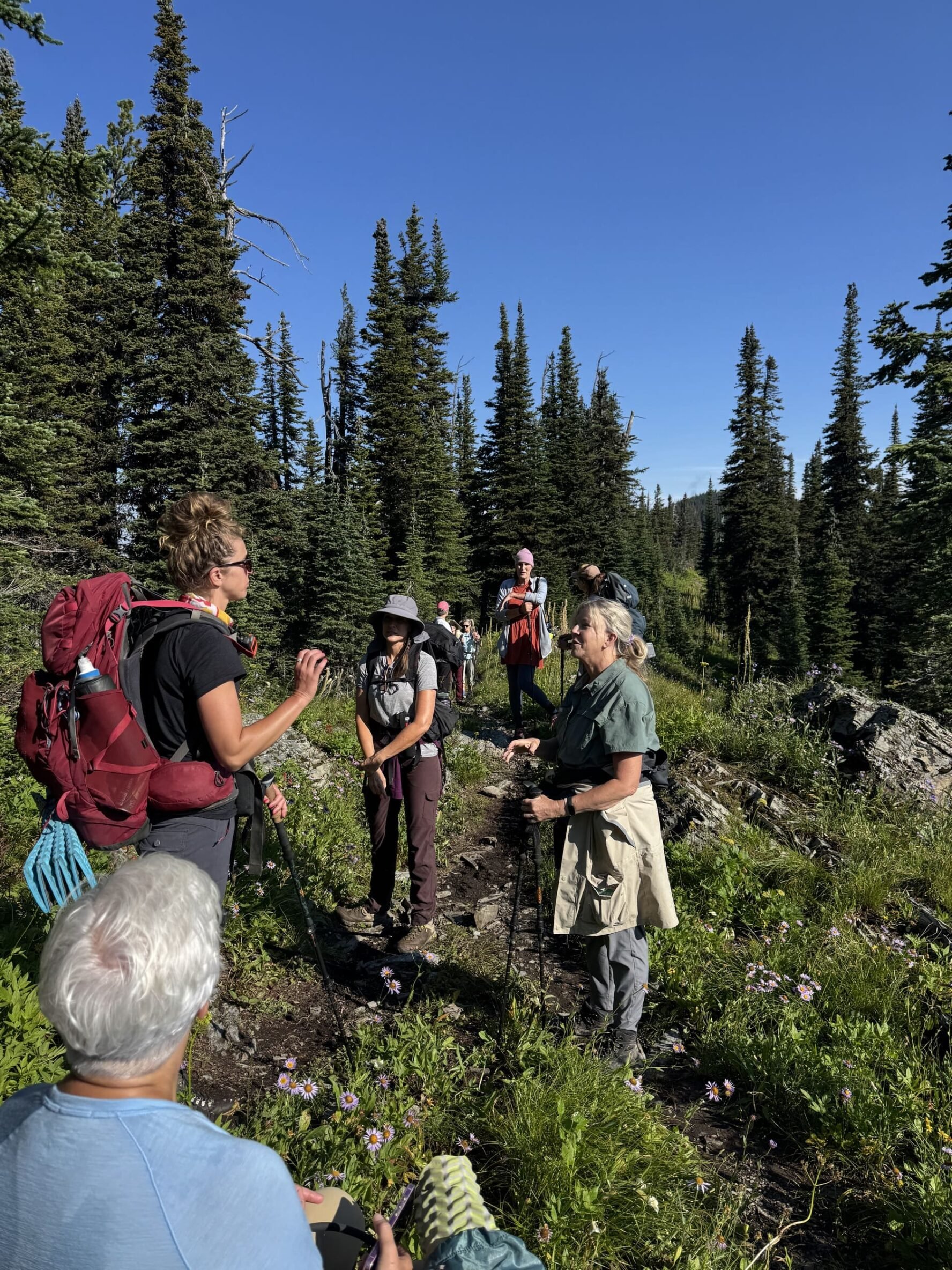 group hikers glacier np