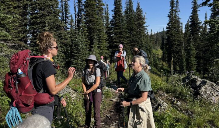group hikers glacier np