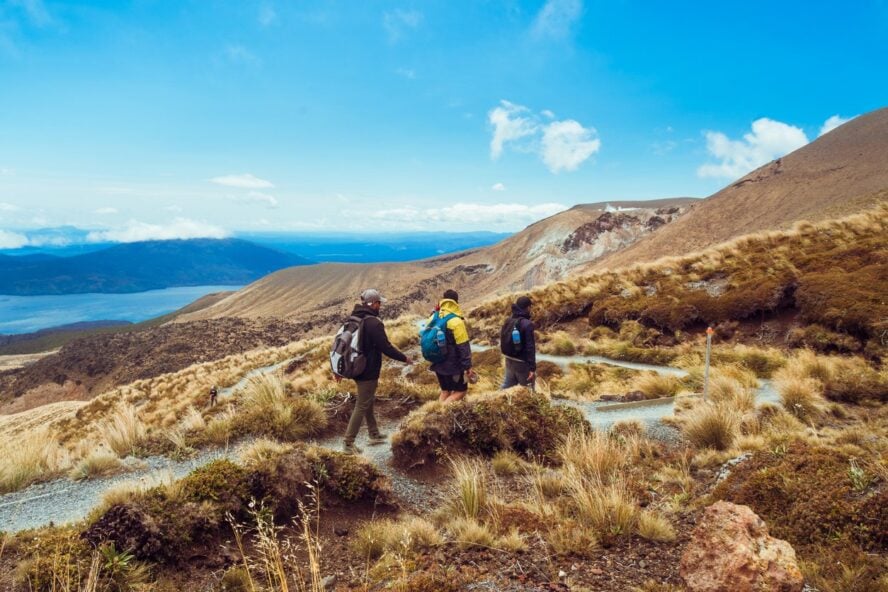 Hikers enjoying a guided hiking tour of New Zealand