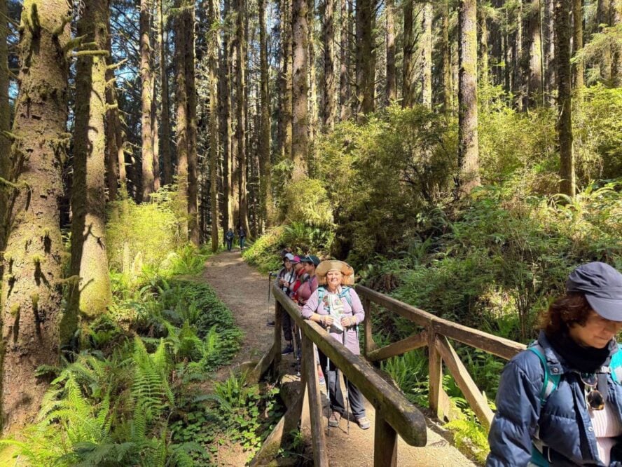 Women hiking over a bridge in the woods