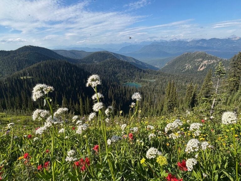 lake panorama montana
