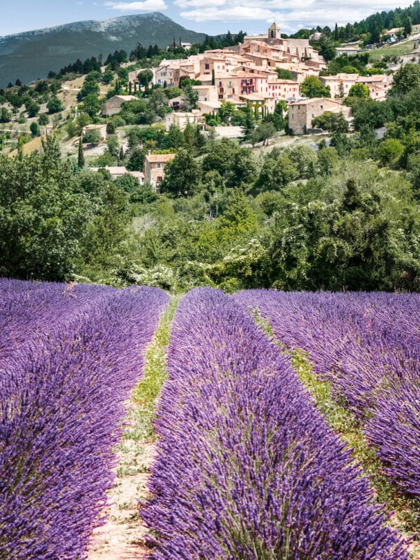 cyclists provence burgundy