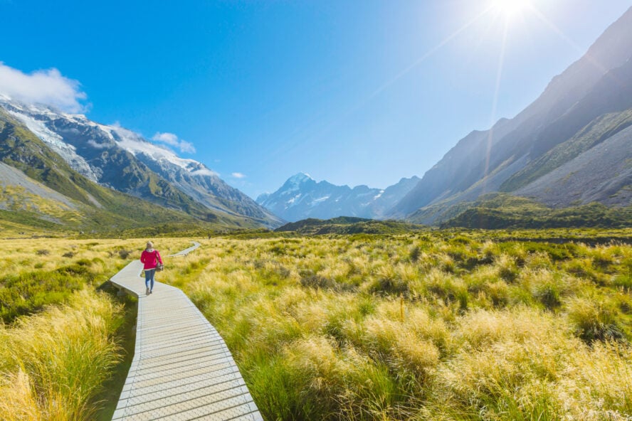 A hiking trail along Mount Cook National Park in New Zealand