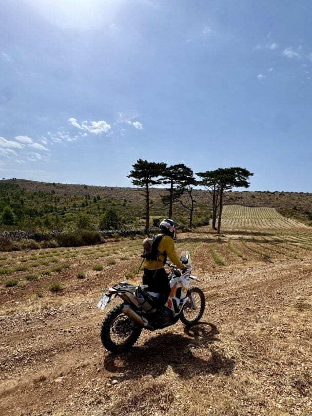 summer land bike