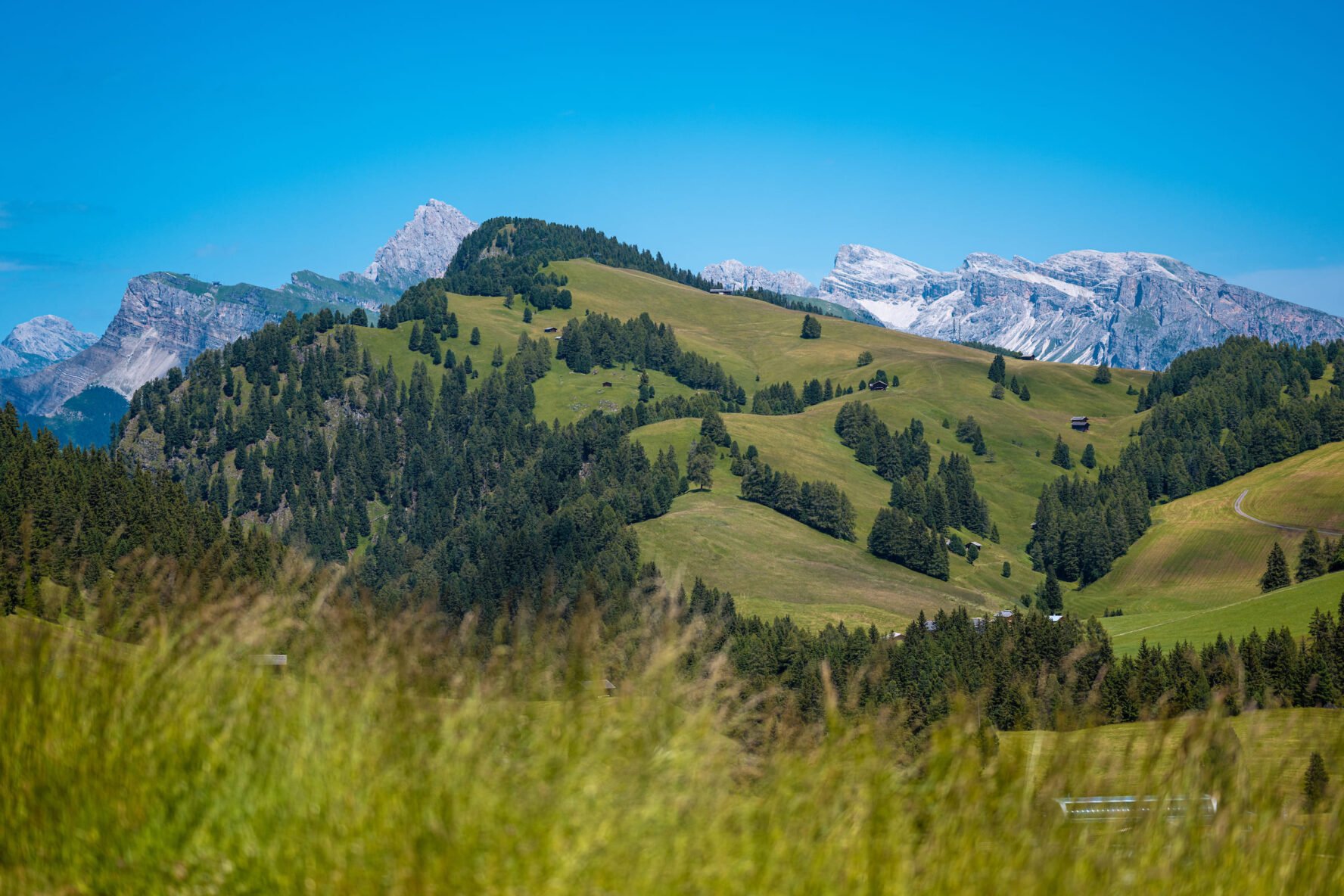 views summer dolomites