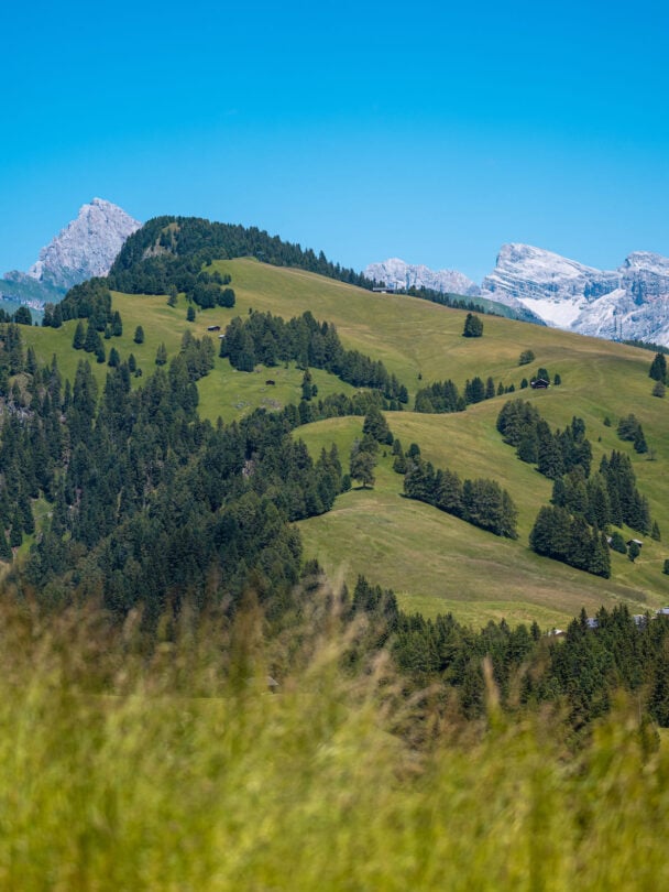 alpe di siusi guided hiking tour