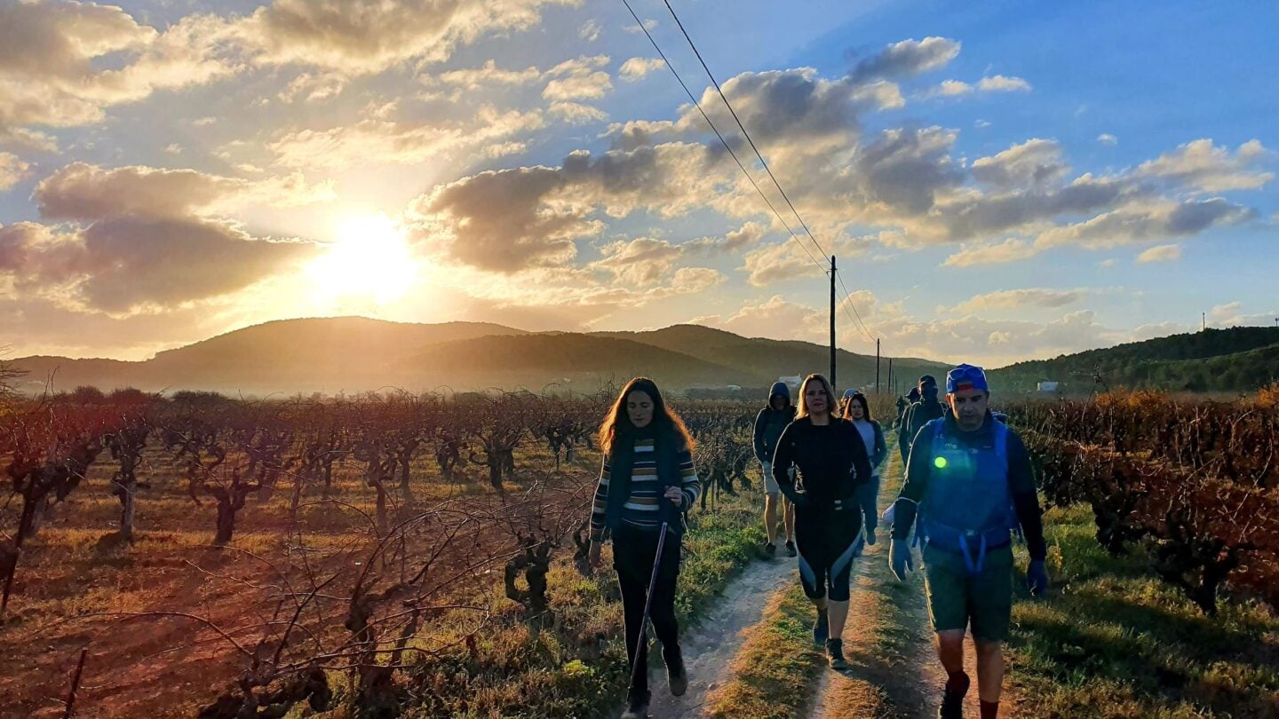 vineyard walk ibiza