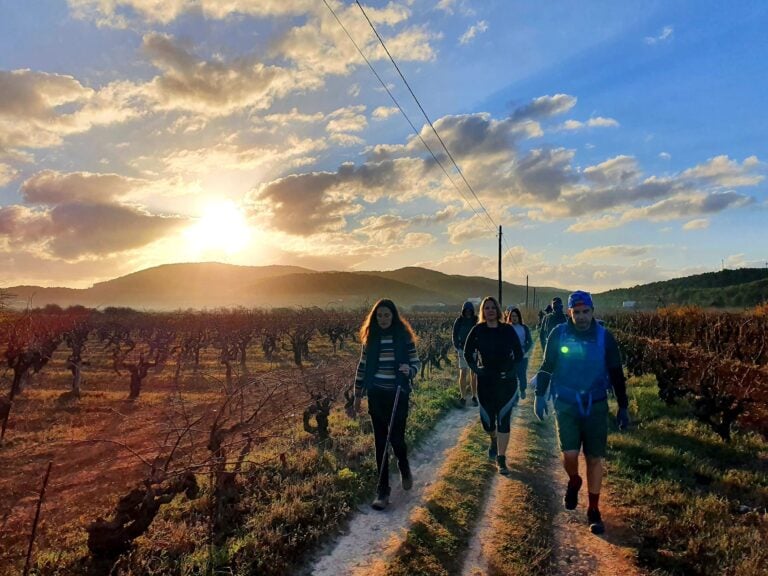 vineyard walk ibiza