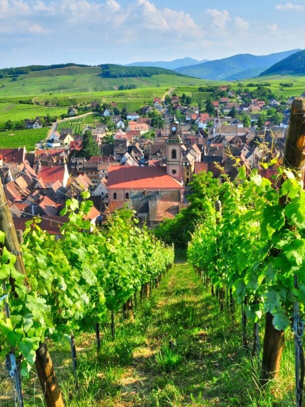 moselle valley couple