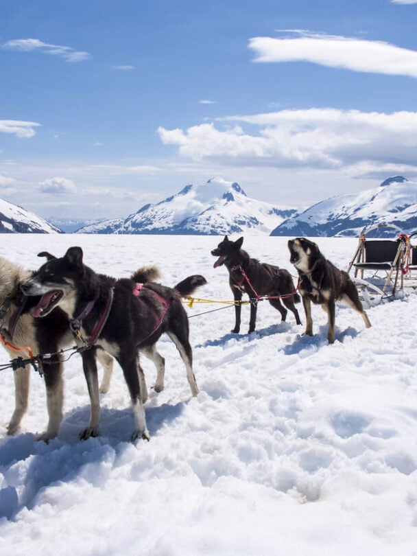 Alaska hiking tour