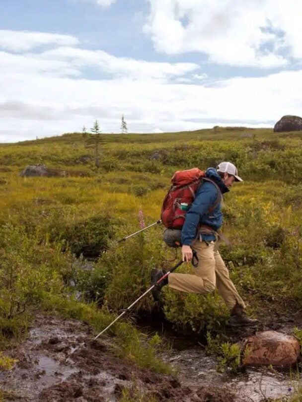 Alaska hiking tour