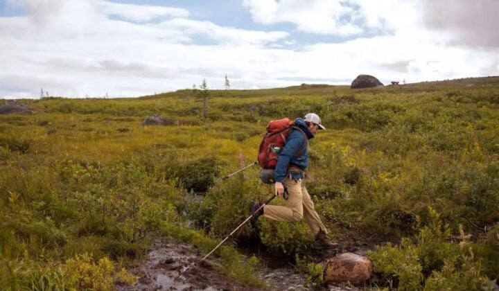 Alaska hiker hopping