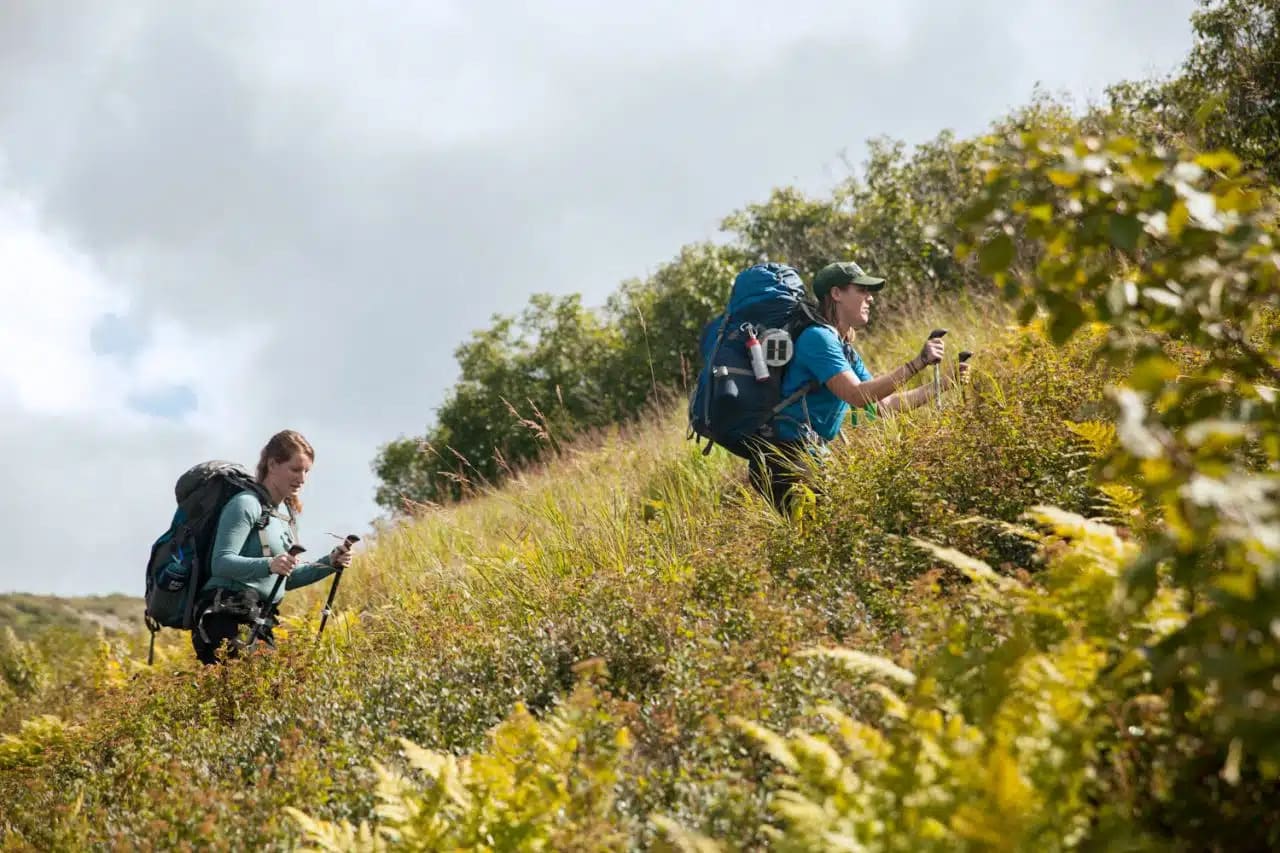 Alaska Hiking Tour: 8-Day Wilderness Adventure | 57hours