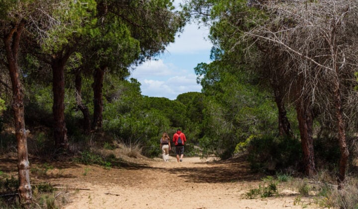 Alicante couple walking
