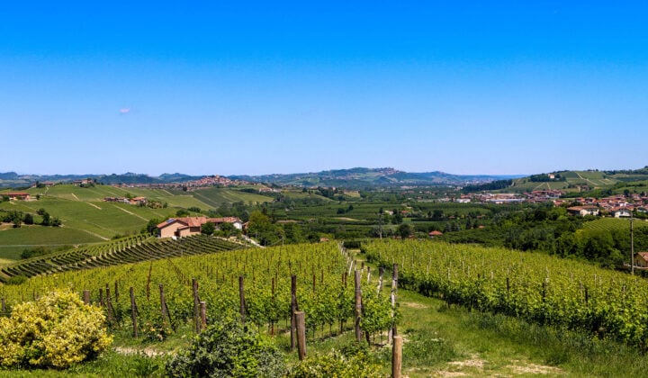 Barolo landscape