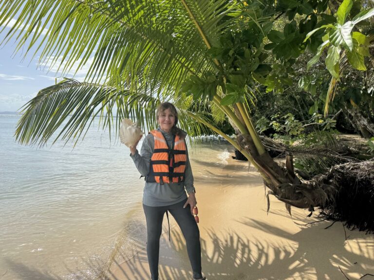 Beach shell in Panama