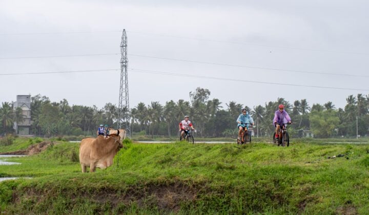 Bikers and buffalo