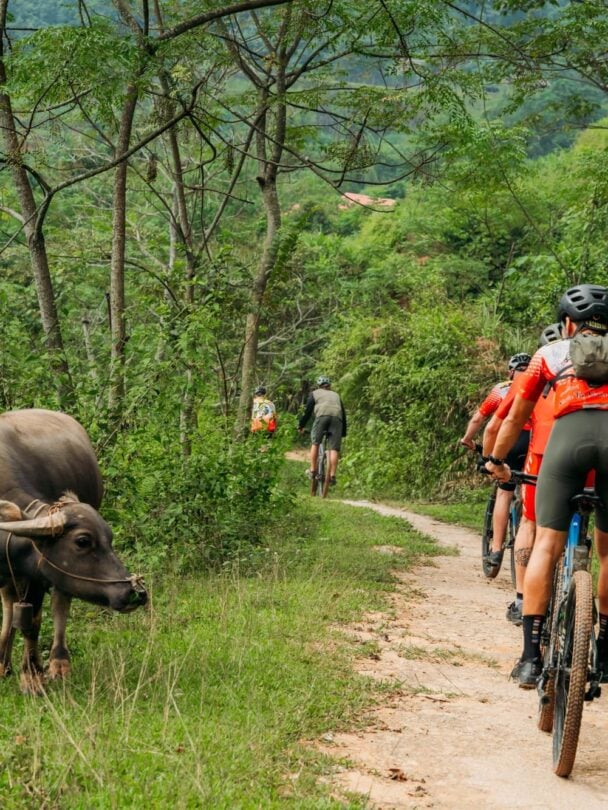 Northern Vietnam cycling tour