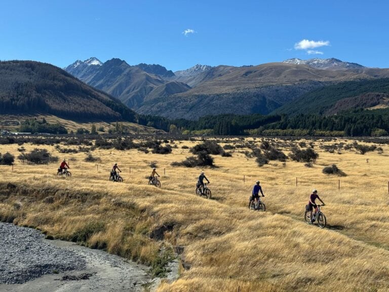 Biking near a field in New Zealand