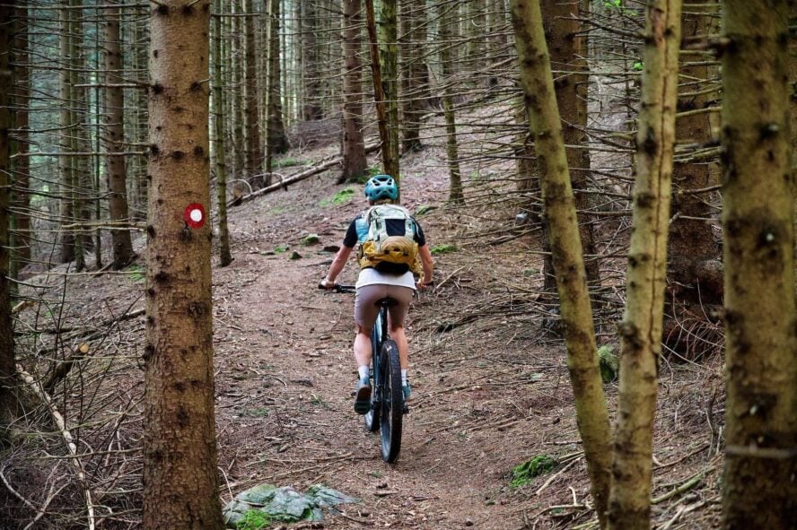 Biking in a forest in Slovenia