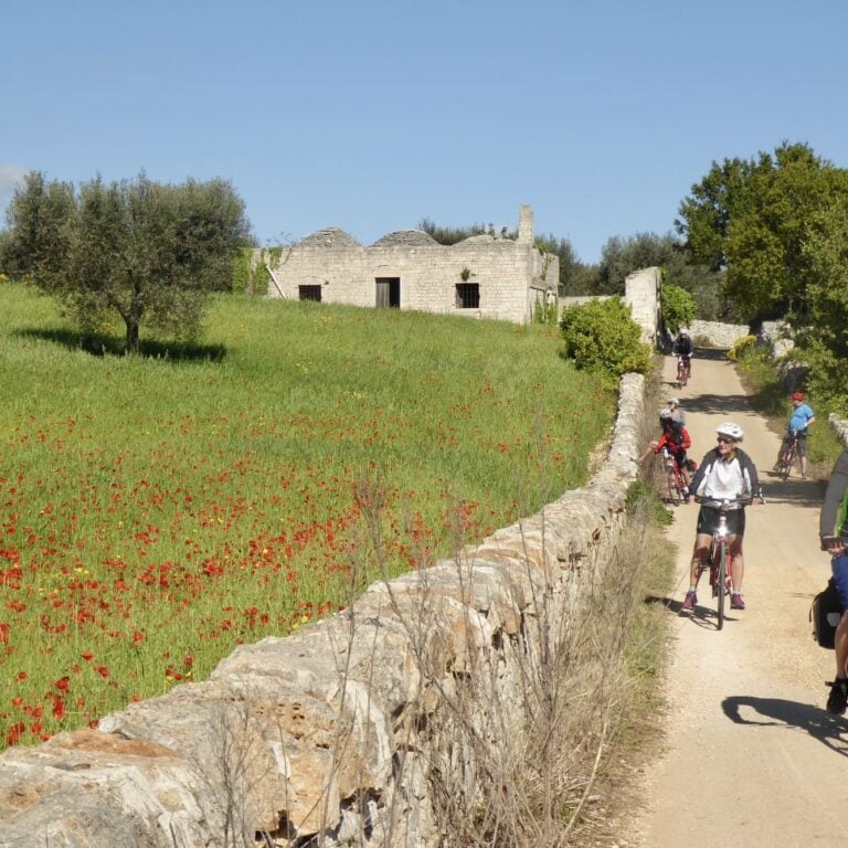 Biking next to meadow in italy