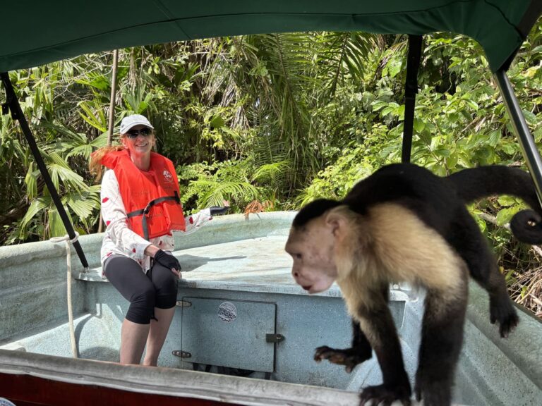 Boat monkey in Panama