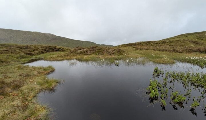 Bog in Scotland