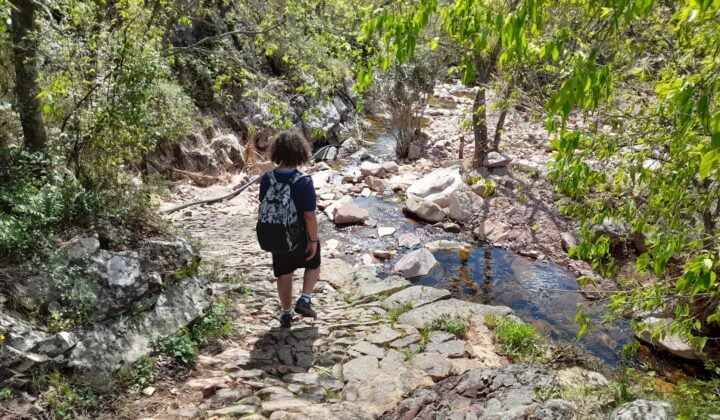 Castro trail
