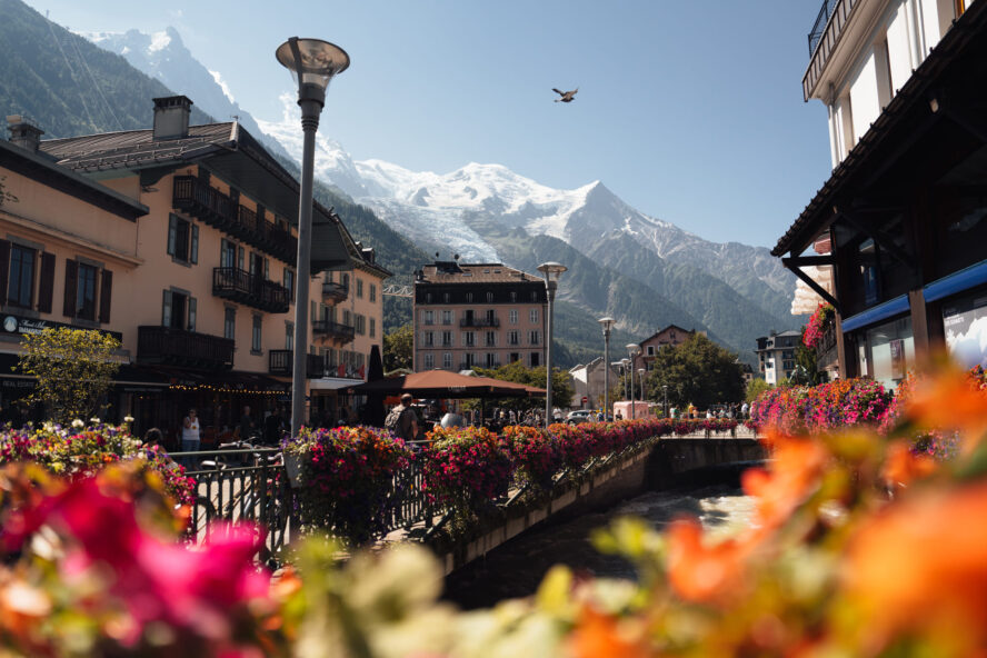 Flora and fauna of Chamonix