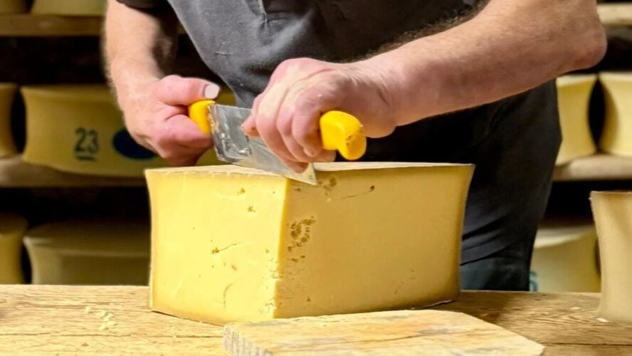 Cheese cutting