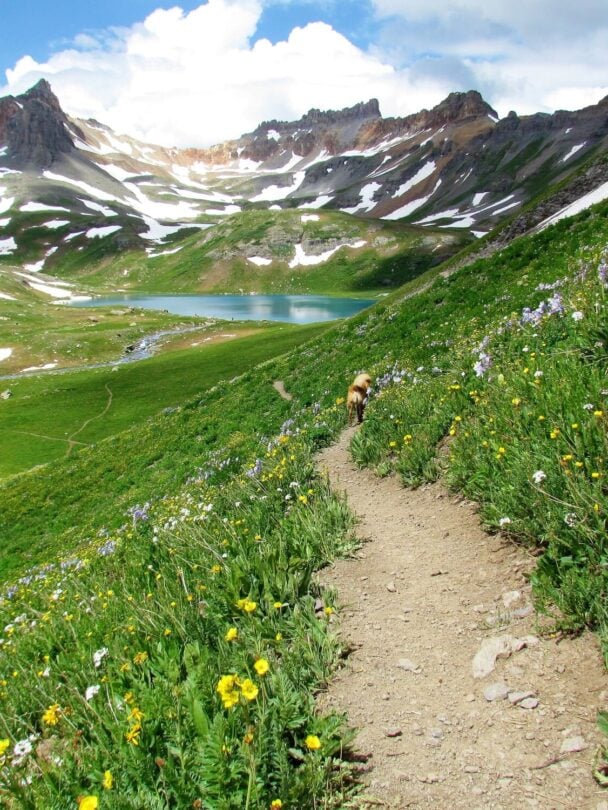 Hut hiking Colorado