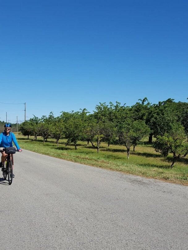 Provence cycling tour