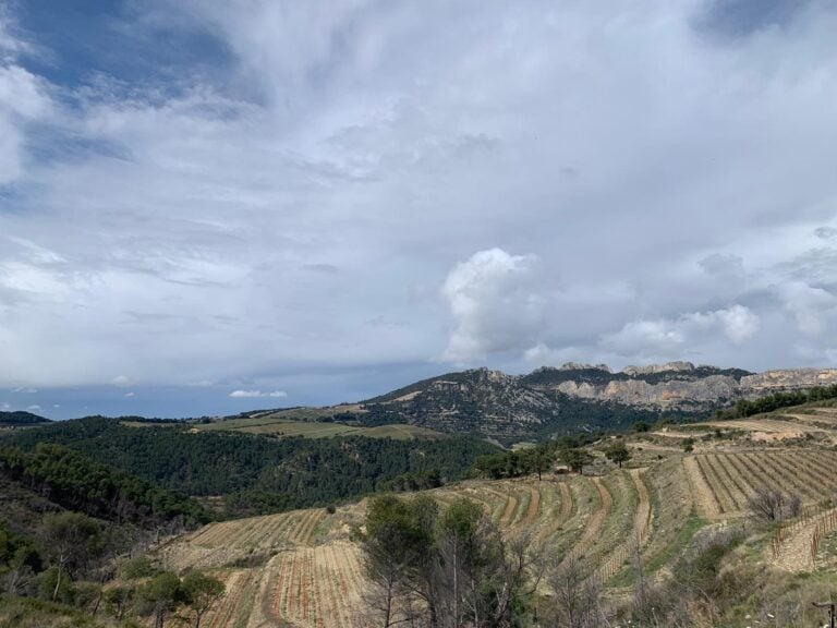 Dentelles de Montmirail in France