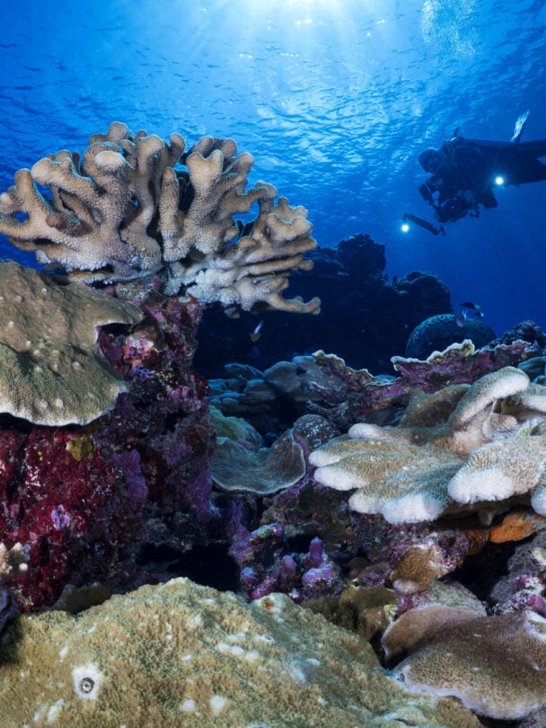 Solomon Islands vacation