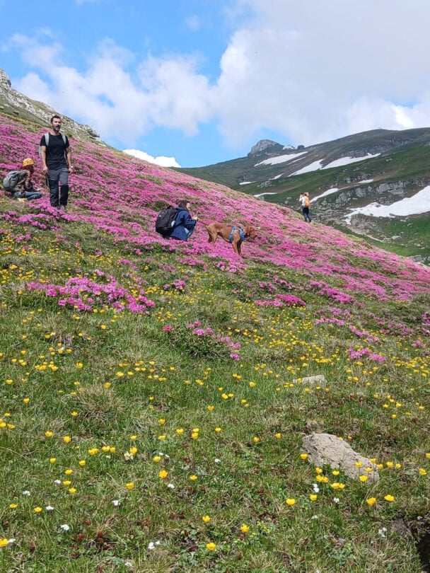 Walking holiday in Romania