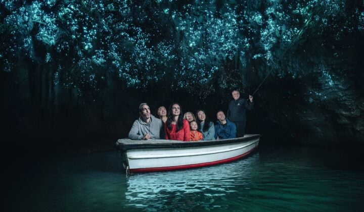 Glowworm cave in NZ