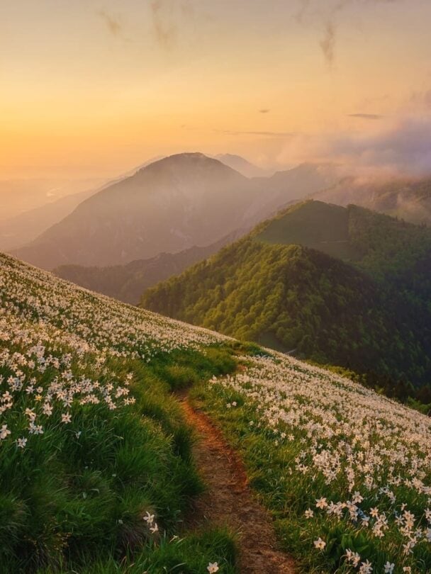 Julian Alps Slovenia hiking