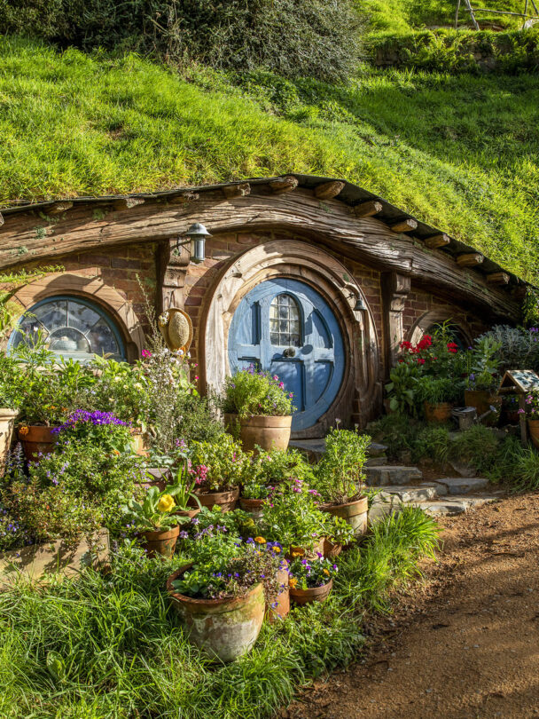 New Zealand cycling holiday