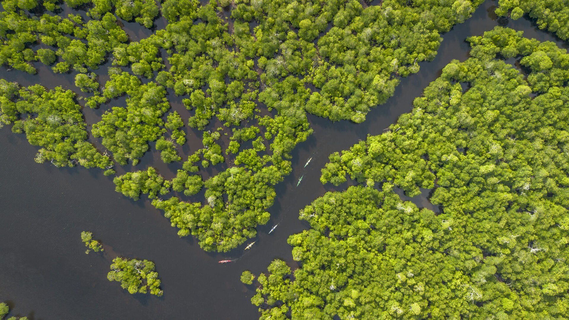 Indonesia luxury tour