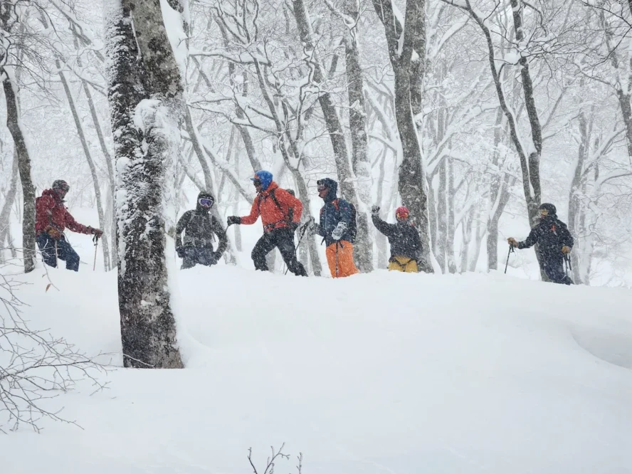 Japan group of skiers