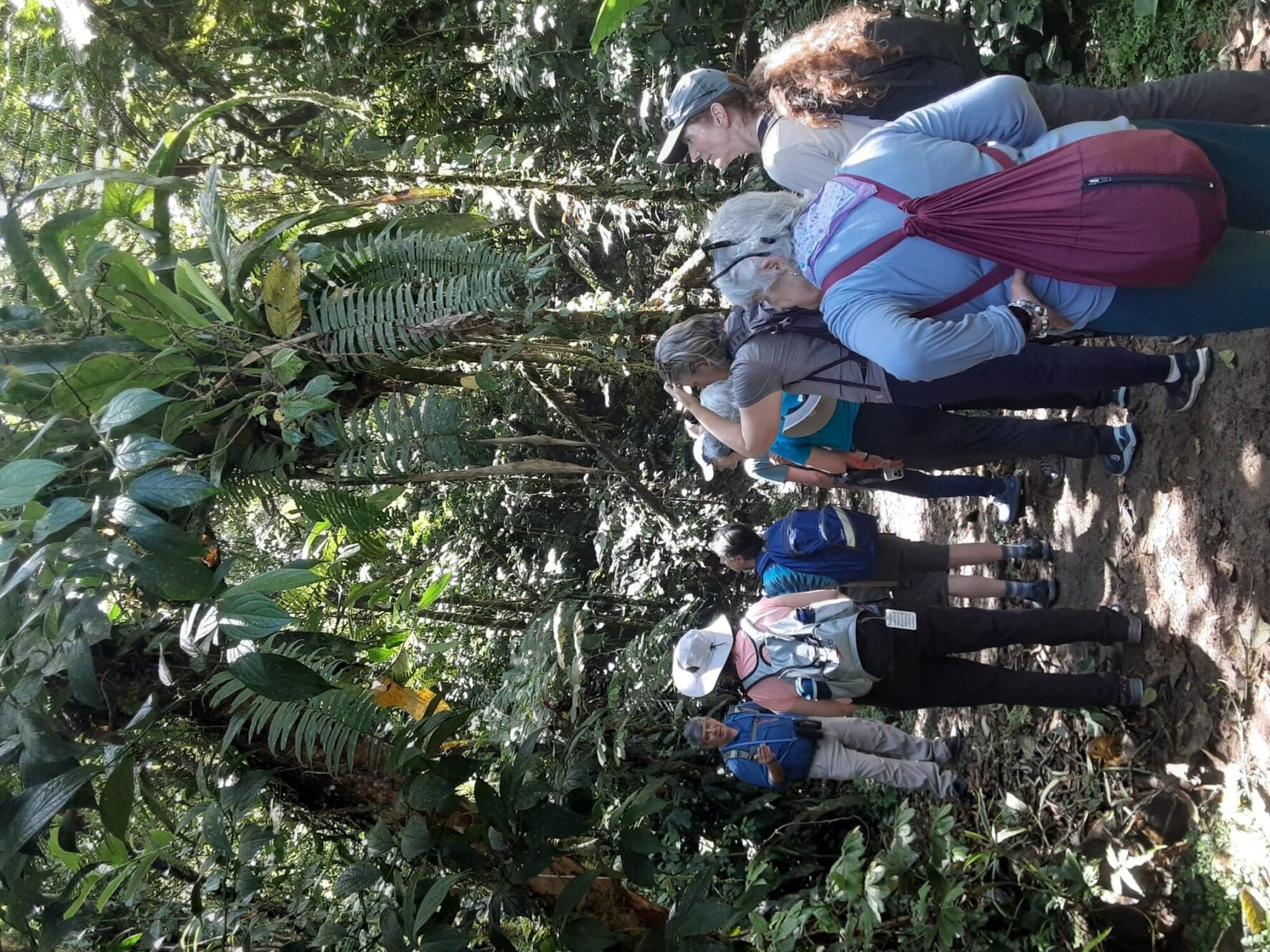 Jungle tour in Panama