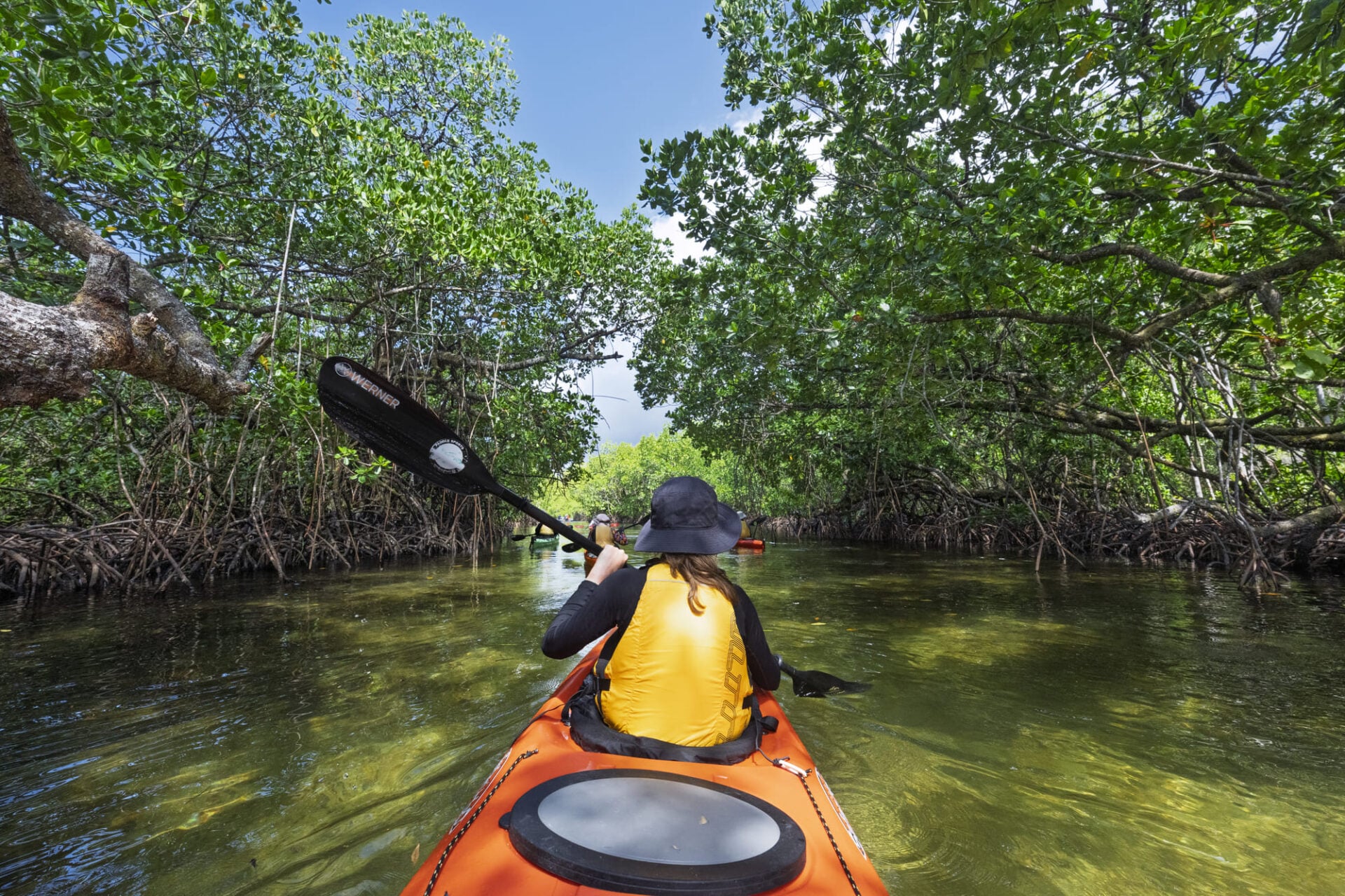 Kayaking between trees