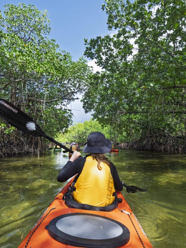 Kayaking between trees