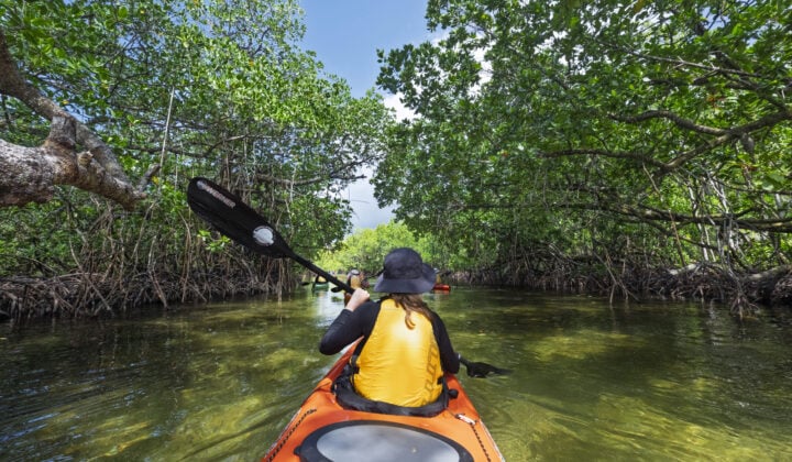 Kayaking between trees