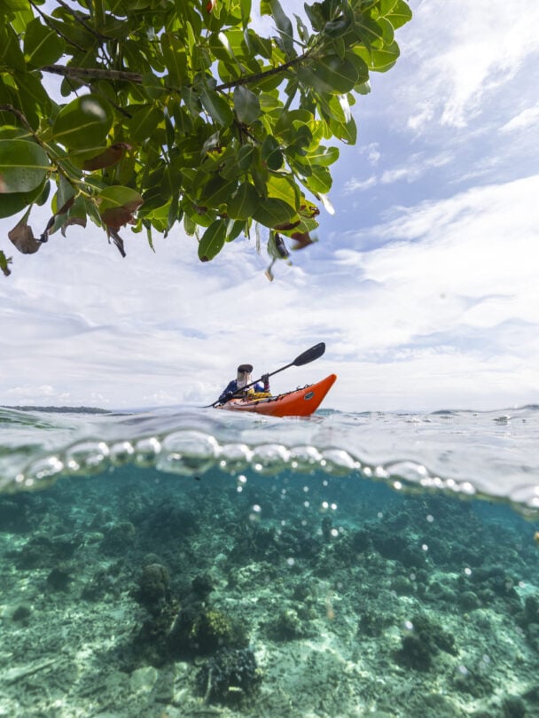 Kayaking between trees