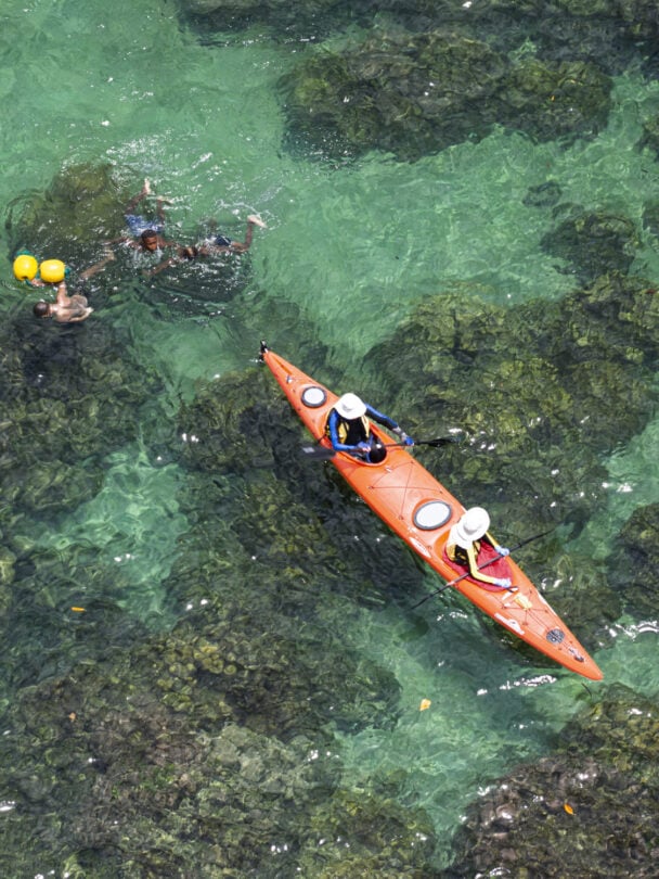 Kayaking between trees