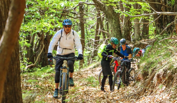 Langhe bikers in woods