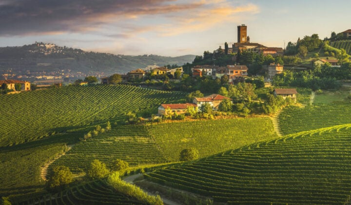 Langhe vista
