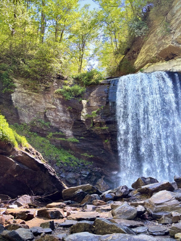 Pisgah national forest backpacking