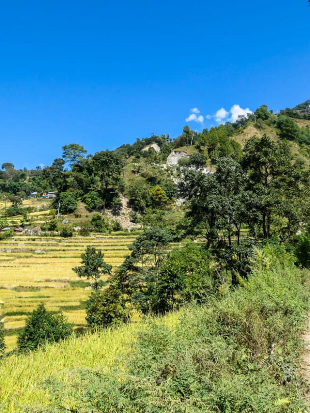 Luxury Annapurna trek